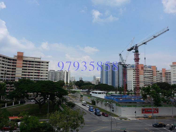 Guillemard Edge (D14), Apartment #158925992